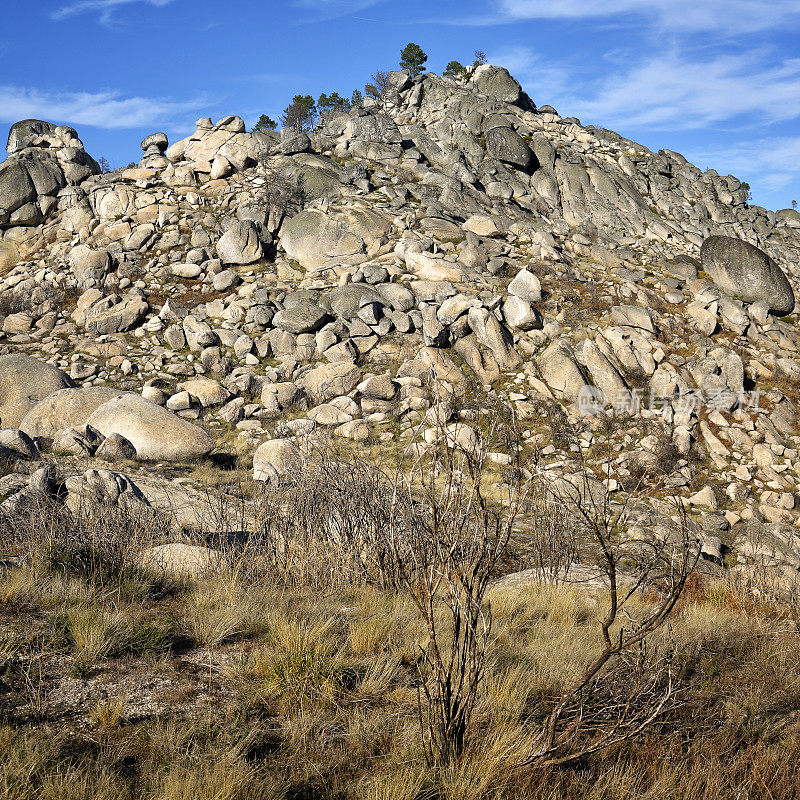 Serra da Gardunha自然公园，Louriçal do Campo，区Castelo Branco，葡萄牙